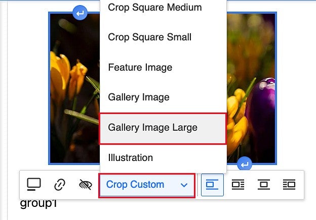 selecting Gallery Image Large in the Drupal content editor
