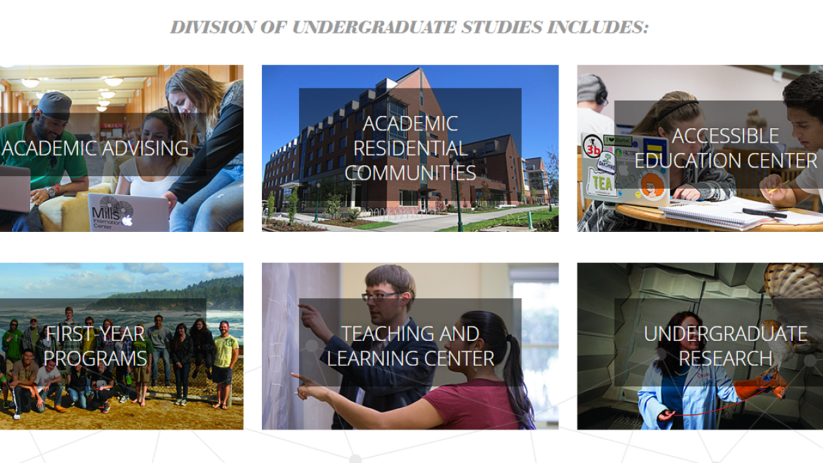 Screenshot of the Undergraduate Studies Divisions grid