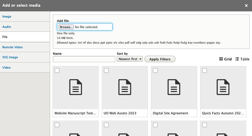 Drupal Add File interface screenshot