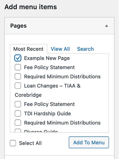 Selecting a page to add it to a menu in WordPress screenshot