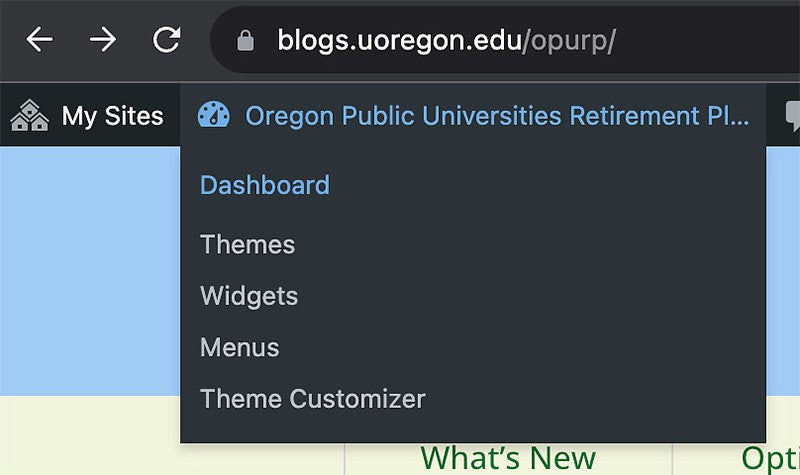 Accessing the admin dashboard in WordPress screenshot