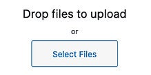 Select Files button in WordPress screenshot