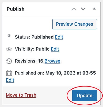 Update button in WordPress screenshot