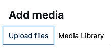 Upload Files button in WordPress screenshot