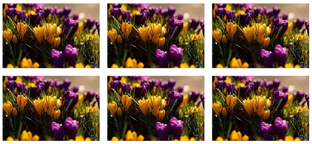 example of centered grid with flower photo repeated and space between images