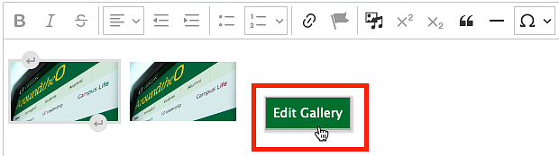 screenshot showing how to edit a gallery