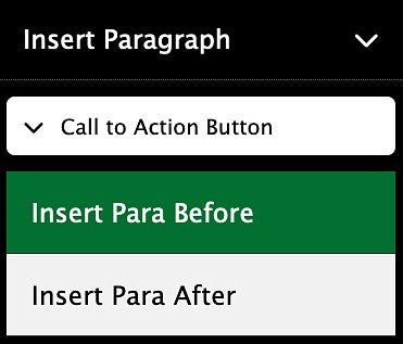 the Insert Paragaph section in the button editor menu