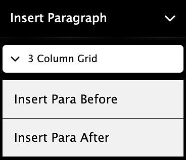 insert paragraph options in the Drupal content editor