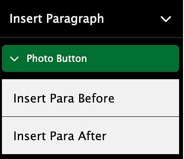 the Insert Paragraph option in the photo button editing menu