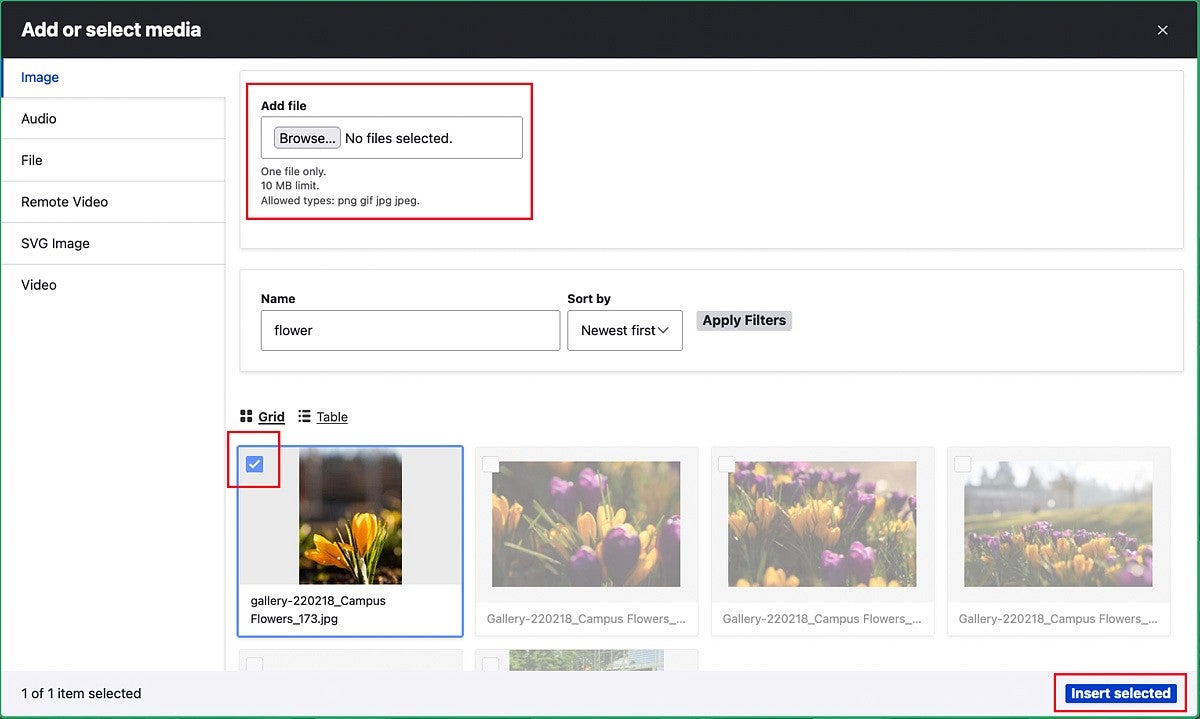 Selecting an image from the Drupal media library with Browse, selection checkbox, and Insert Selected button highlighted