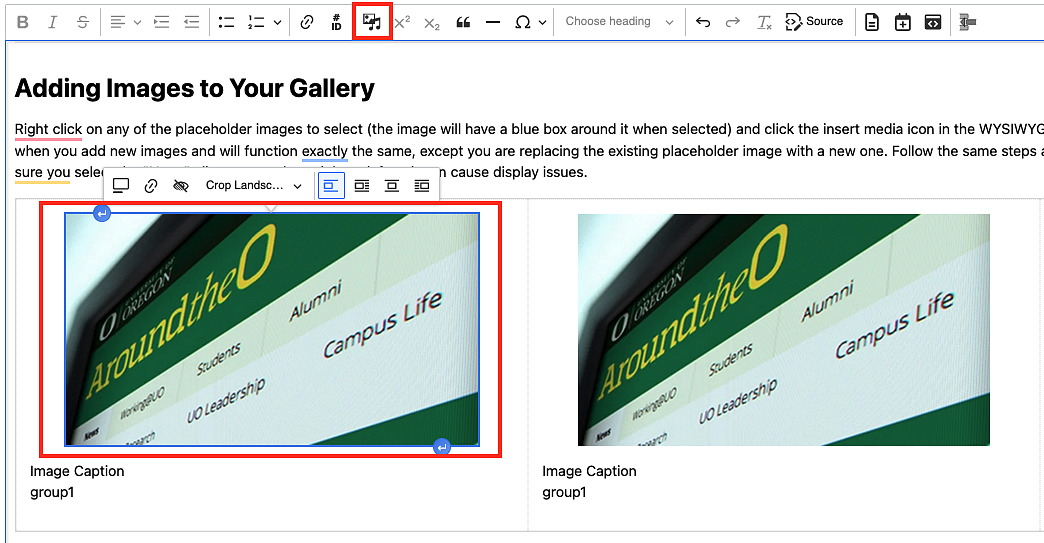 screenshot showing how to update a gallery image