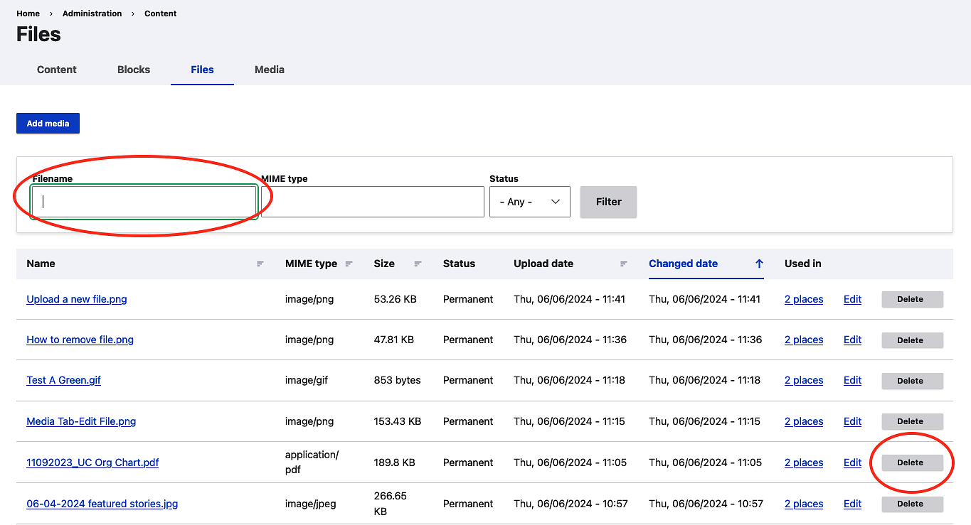 Screenshot showing how to delete a file from the files tab in Drupal