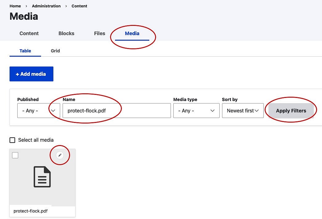 screenshot of the Drupal interface with the Media tab, Name field, Apply Filters button, and pencil icon circled in red