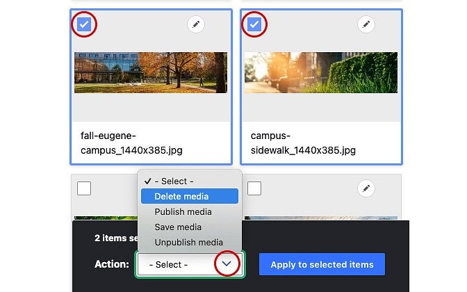 screenshot of two images selected in the Drupal Media tab