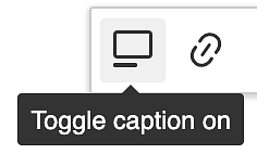 Drupal editor's image caption button