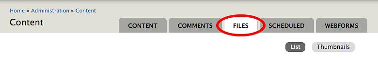 Screen shot of the Content page Files tab