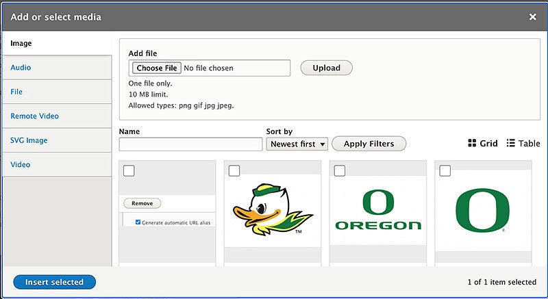 Drupal Media Library window