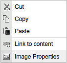 Screen shot of the right click menu for an image