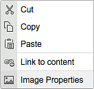 Screen shot of the right click menu for an image Screen shot of the right click menu for an image