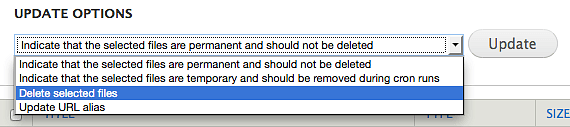 Screen shot of the file options