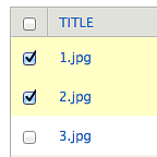 Screen shot of multiple files selected